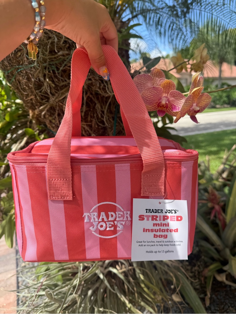 NWT | Trader Joe's Pink Striped Mini Insulated Bag